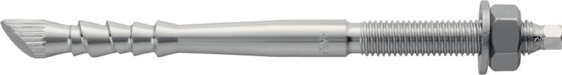 HAS-RTZ 锚杆 超高性能锚杆，适用于裂缝混凝土的化学胶囊（A4 不锈钢）
