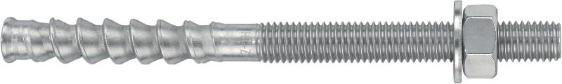 HIT-Z-R 锚杆 超高性能锚杆，适用于注射型复合胶黏剂锚具（A4 不锈钢）